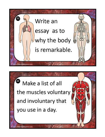 Human Body Task Cards 21-22
