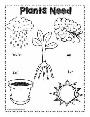 Plants Need Poster