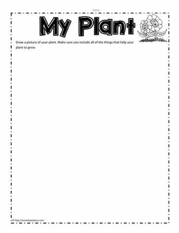 Plant Picture Worksheets