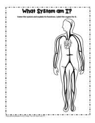 Human Body Assessment