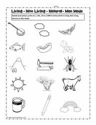 Living and Non Living Things Worksheet