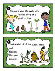 Plant Task Cards 5-6