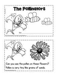 Pollinator Booklet