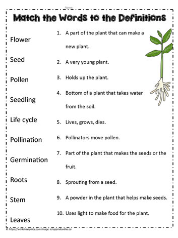 Plant Definitions