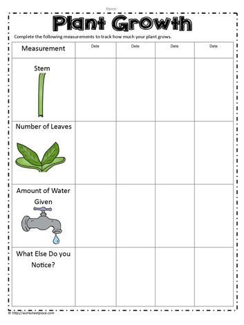 Plant Growth Measurements