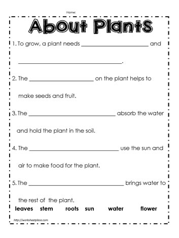 Plant Worksheet