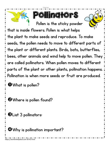 Pollinator Activity