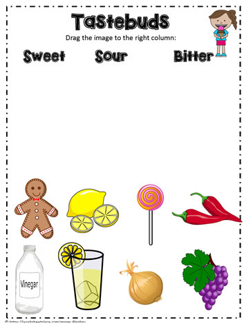 Tastebuds Worksheets