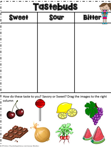 Sweet Sour Or Bitter Worksheets
