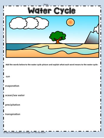 Describe the Water Cycle