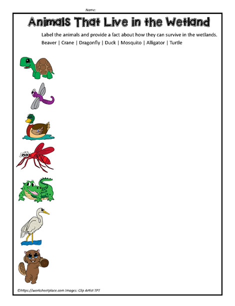 wetland-animals-worksheets