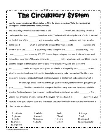 Circulatory System Cloze Activity Worksheets