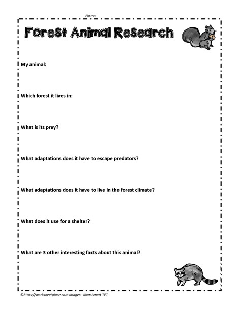 Forest Animal Research Worksheets