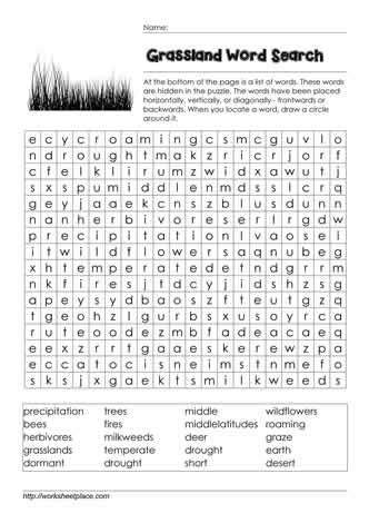 Grassland Wordsearch