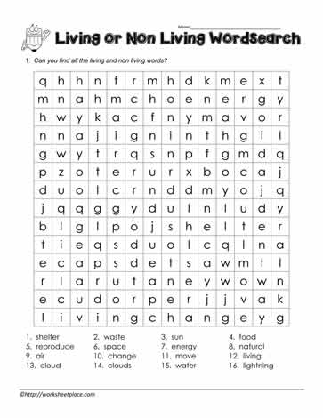 Non Living and Living Things Wordsearch