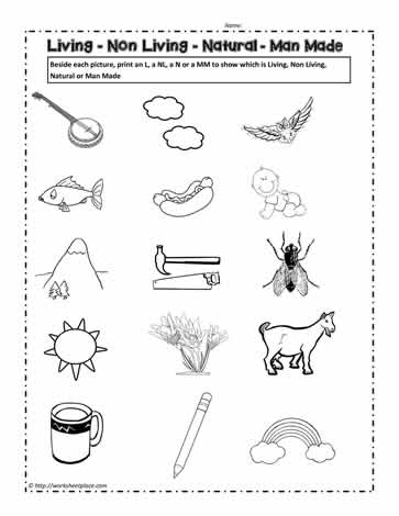 Living and Non Living Things Worksheet