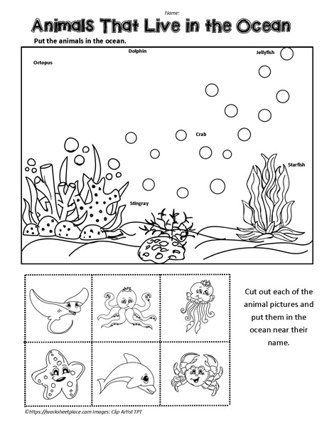 Ocean Animals Worksheet Worksheets