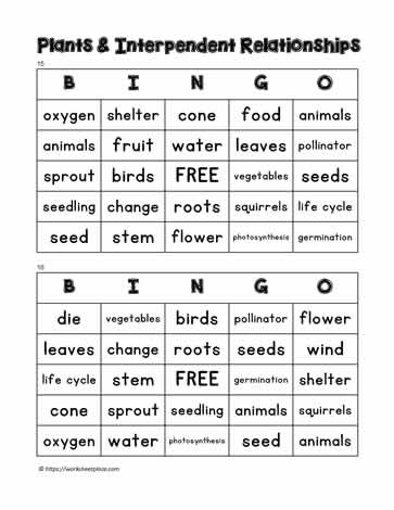 Plant Bingo 15-16 