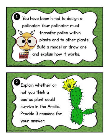 Plant Task Cards 1-2