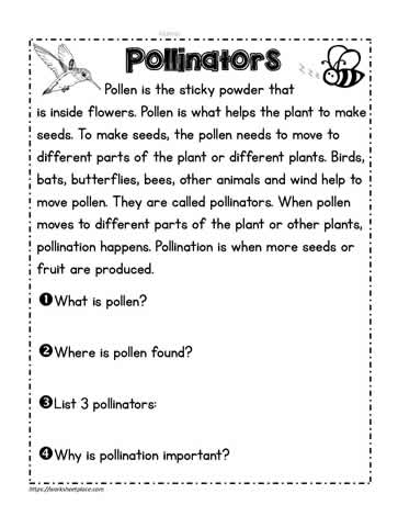 pollinator activity worksheets