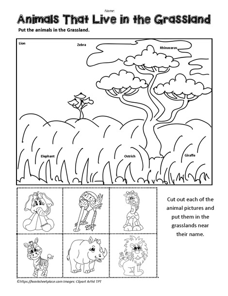 kindergarten animal worksheet classification Animals Prairie Worksheets Worksheet