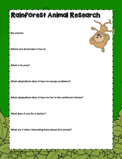 Rainforest Animal Research Worksheets