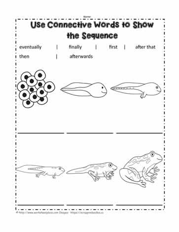 Sequence Worksheet