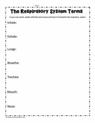 Respiratory System Vocab