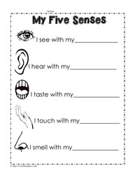 5 Senses Words Worksheet