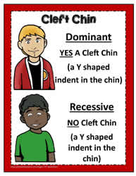 Dominant And Recessive Poster 1