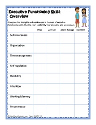 Executive Functioning Overview Checklist