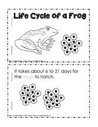 Read it Yourself Frog Lifecycle