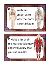 Human Body Task Cards 21-22