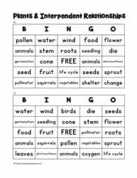 Plant Bingo 13-14