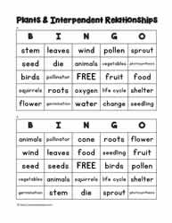 Plant Bingo 3-4