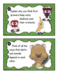 Plant Task Cards 13-14