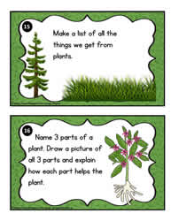 Plant Task Cards 15- 16