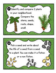 Plant Task Cards 17-18