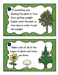 Plant Task Cards 3-4