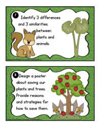 Plant Task Cards 7-8