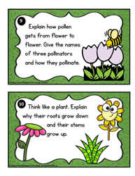 Plant Task Cards 9-10